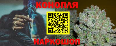 СК Краснознаменск