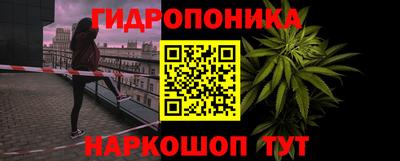 СК Краснознаменск
