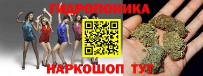 СК Краснознаменск