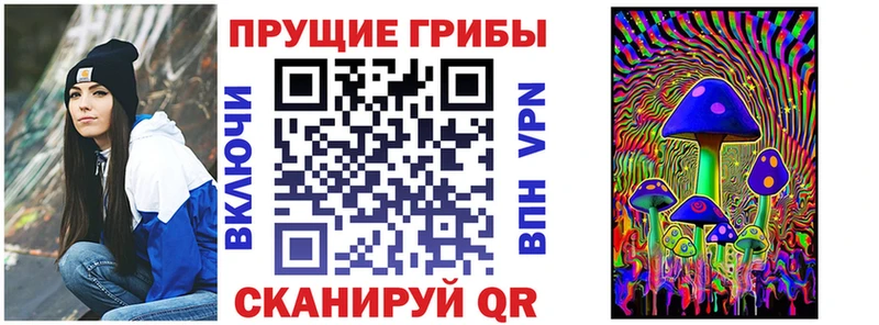Псилоцибиновые грибы Cubensis  OMG зеркало  Касимов 